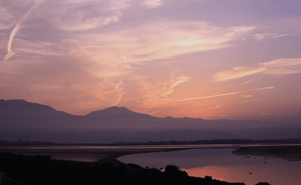 ������Ƶ