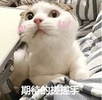 ��ʱ��ҳ��(�й���)�ٷ���վ